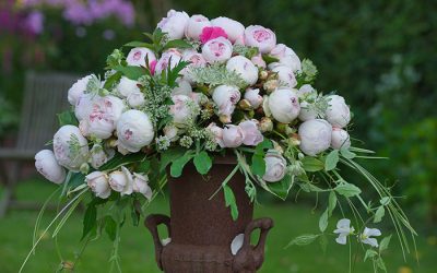 The Art of Growing Roses in Containers